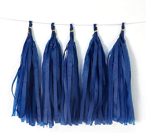 Blue Tissue Paper Tassel DIY Hanging Paper Decorations Party Garland by Binpeng
