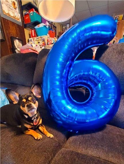 Navy Blue Jumbo Number 16 Balloon 40 Inch, Boy Girl 16 Birthday Supplies, Foil Helium 16 Birthday Giant Balloon, Mylar Blue Number Balloons Anniversary Decorations