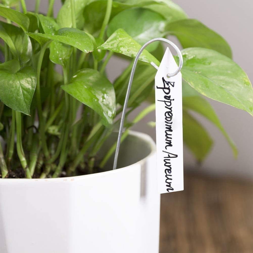 YaeCCC 1000 Pcs 4 Inches Plant Labels Plastic Plant Tags Nursery Garden Labels Pot Marker Garden Stake Tags for Fruit Trees, Flowers, Shrubs, etc
