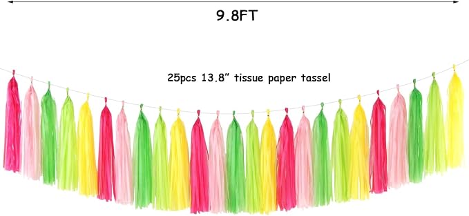 Hawaiian-Themed Pool Party-Decorations Tassel Garland - Image 2