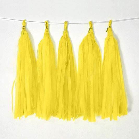 Bining Tissue Paper Tassel DIY Hanging paper decorations Party Garland Decor by Binpeng