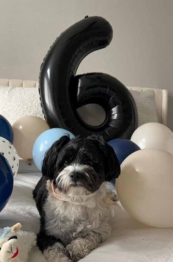 Numbers 17 Balloon 40Inch Black Balloons - Image 2