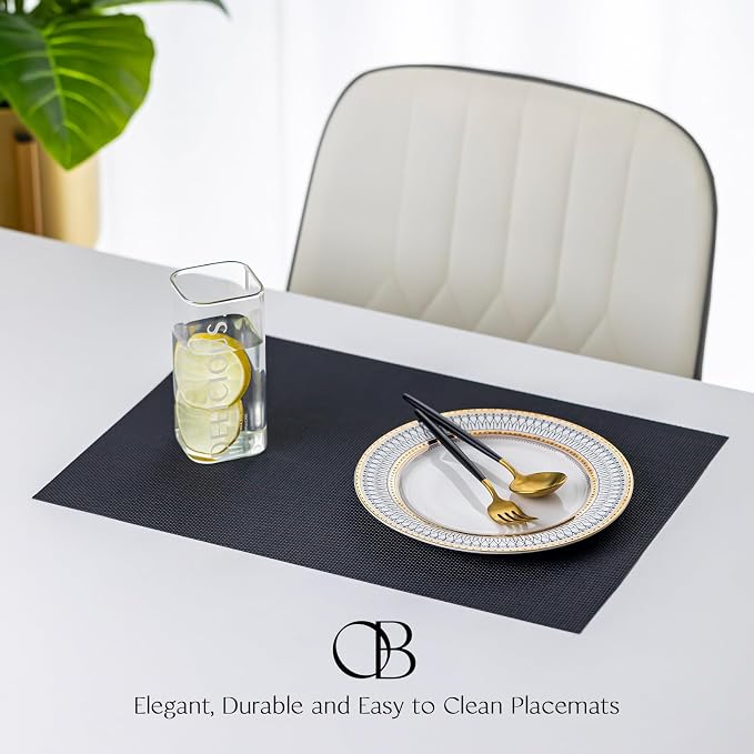 Placemats Set of 12 - Image 2