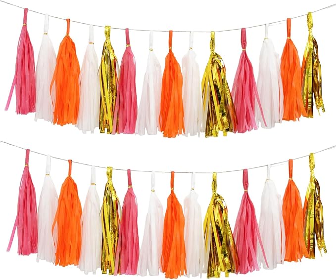Shiny Tassel Garland Tissue Paper Tassel Banner, Tassels Decorations by AimtoHome
