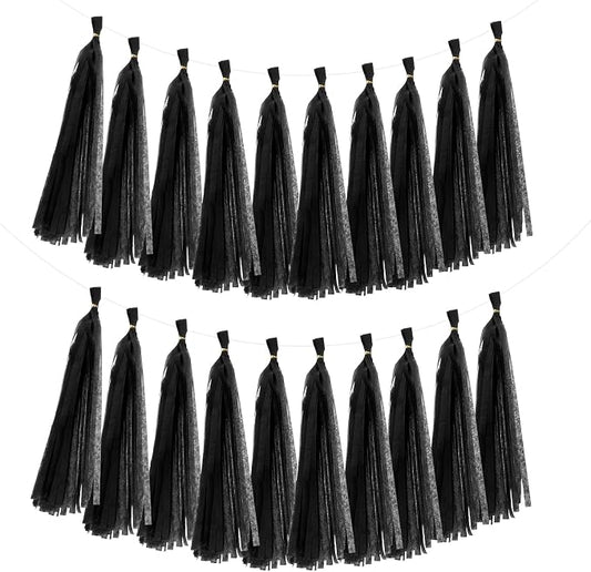 MECCANIXITY 20Pcs Tassel Garland Banner Tissue Paper by MECCANIXITY