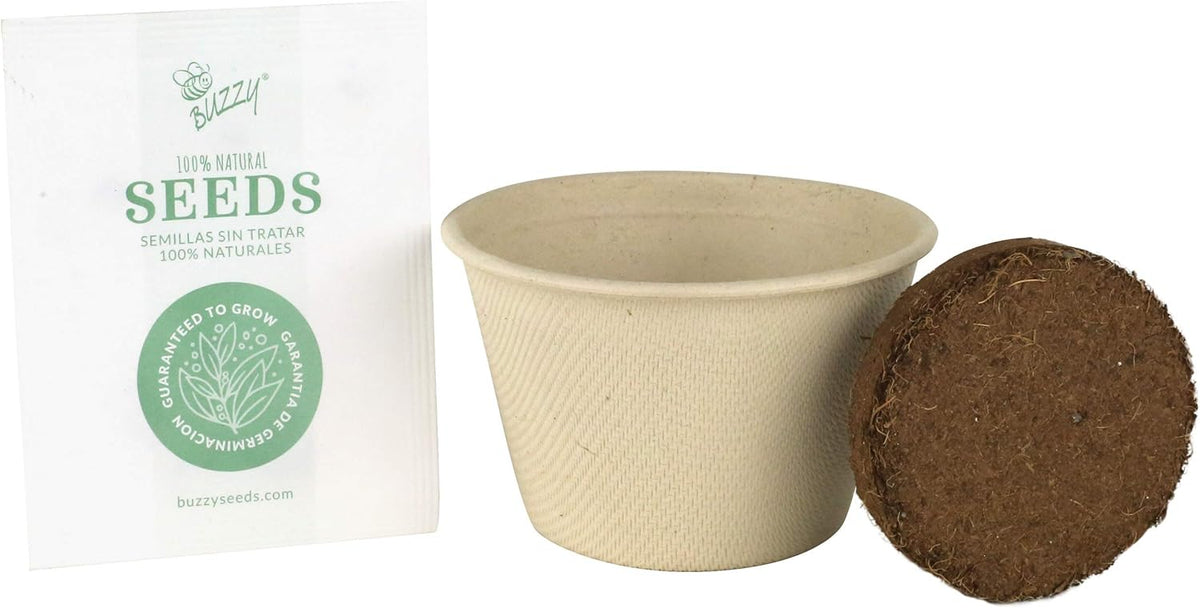 Buzzy Seeds Save The Bees Biodegradable Grow Kit | Herb, Plant, Flower Starter Kit for Kids & Adults | Assorted Wildflowers 12-Pack | Guaranteed to Grow | Best Indoor Grow Your Own Plant