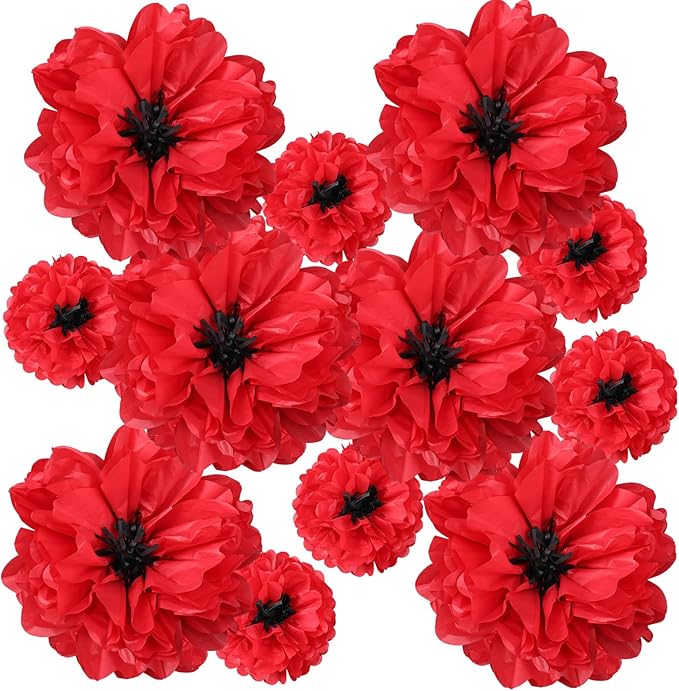 TaoBary Large Colorful Tissue Paper Flowers Giant Fiesta Paper Pom Poms by TaoBary