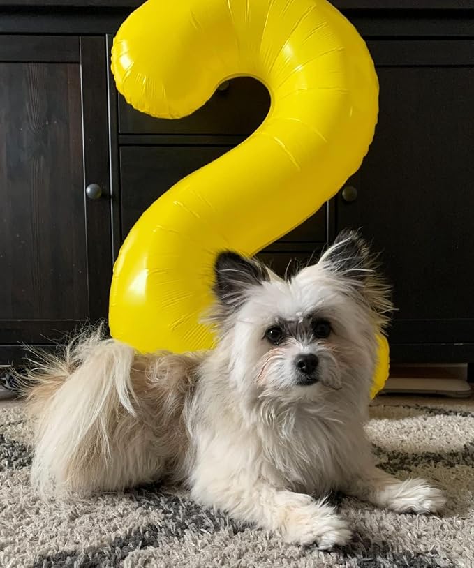 5 Balloon Numbers Birthday Decorations, 40In Yellow Balloons - Image 2