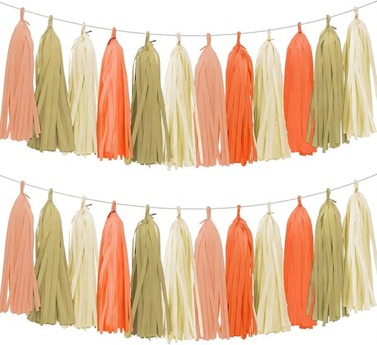Tissue Paper Tassel Garland Banner, 20 Pack, Boho Party Decorations by AimtoHome