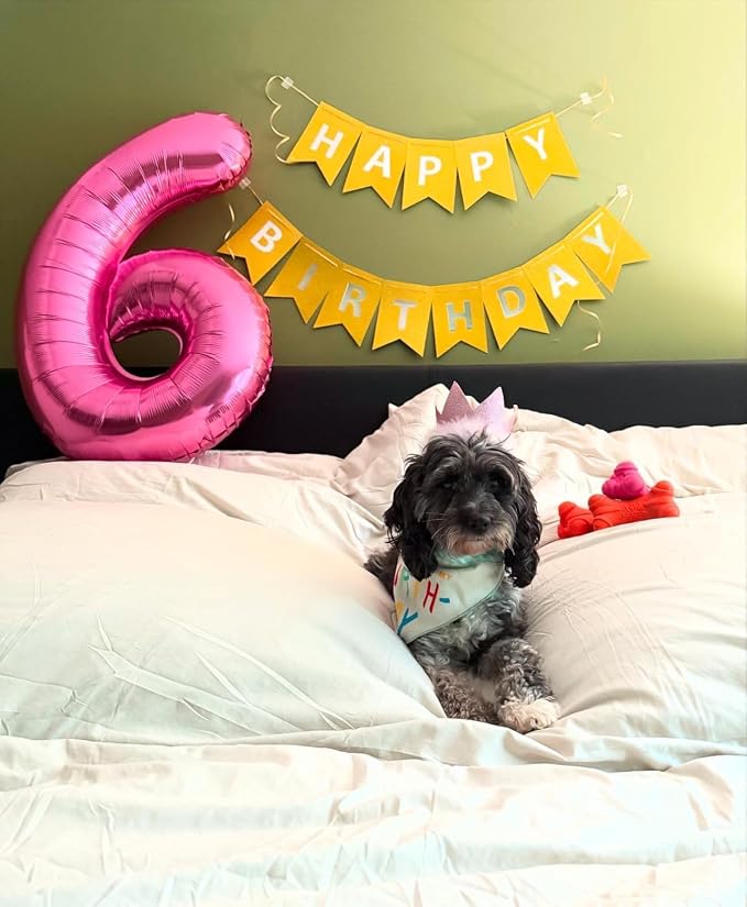 6 Balloon - Pink with Crown Birthday Number Balloons, 40 Inch Decorations | - Image 2