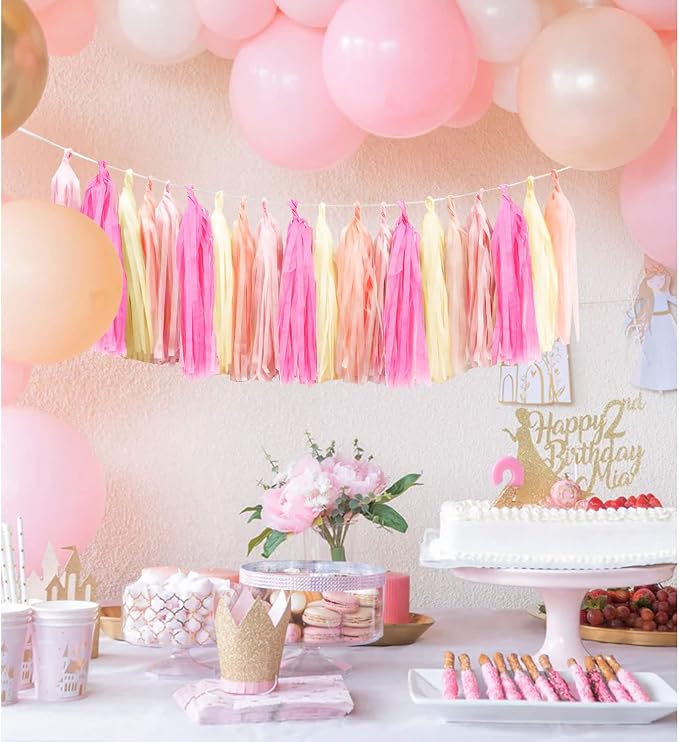 Light Pink Tissue Paper Tassels Garland Banner - Image 4