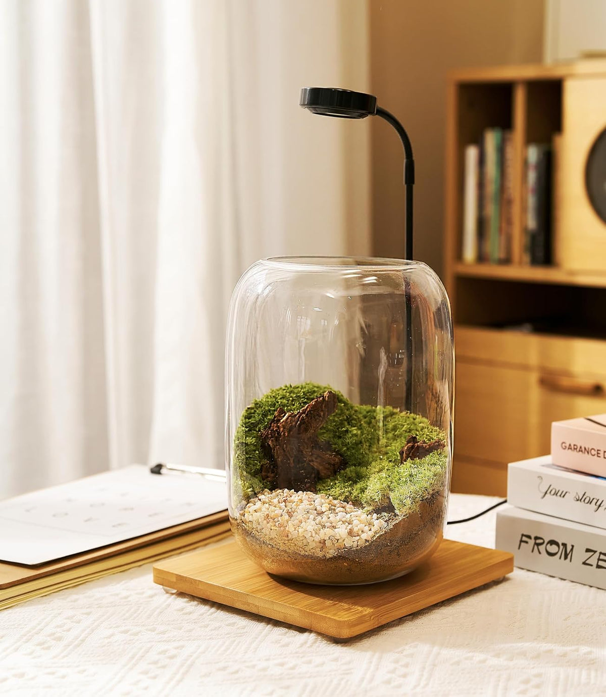 Terrarium Kit with Grow Light, Succulent Plants, Mini Gardening Set - Includes Jar, Tools, Moss, Rocks, Driftwood & Decor