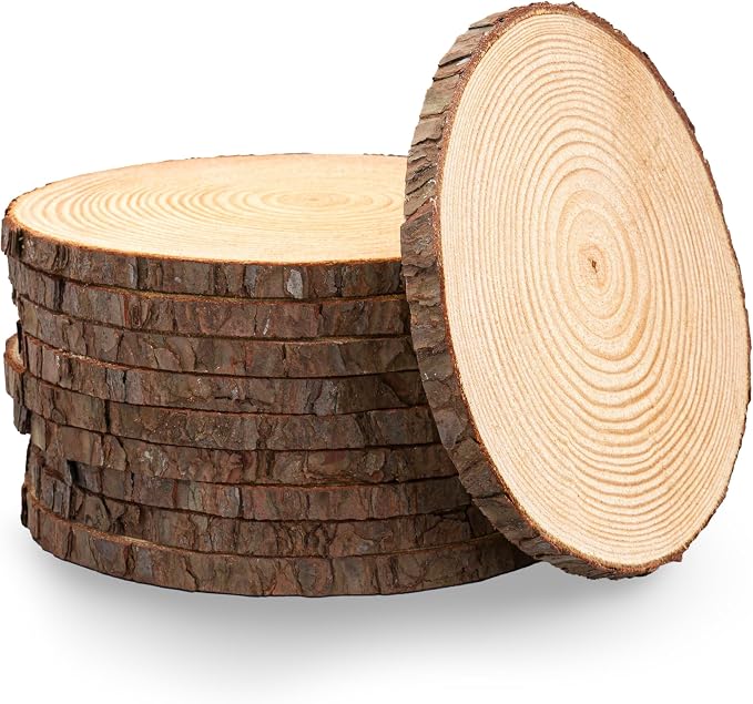 Set of Medium 9-11" Wood Slices by RusticWoodSlices