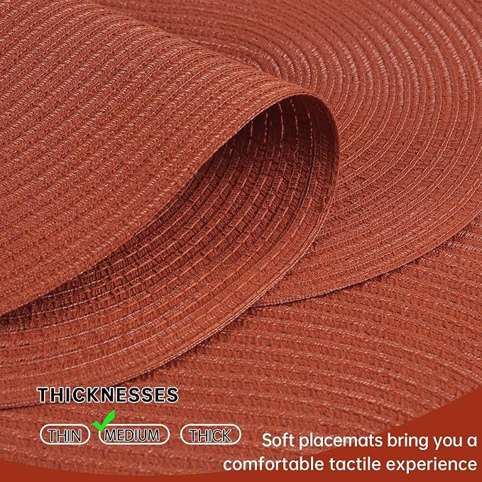 Placemats Set of 6, Woven Oval Braided Dining Table Mats | 12 x 17.5 Inch Size - Image 3