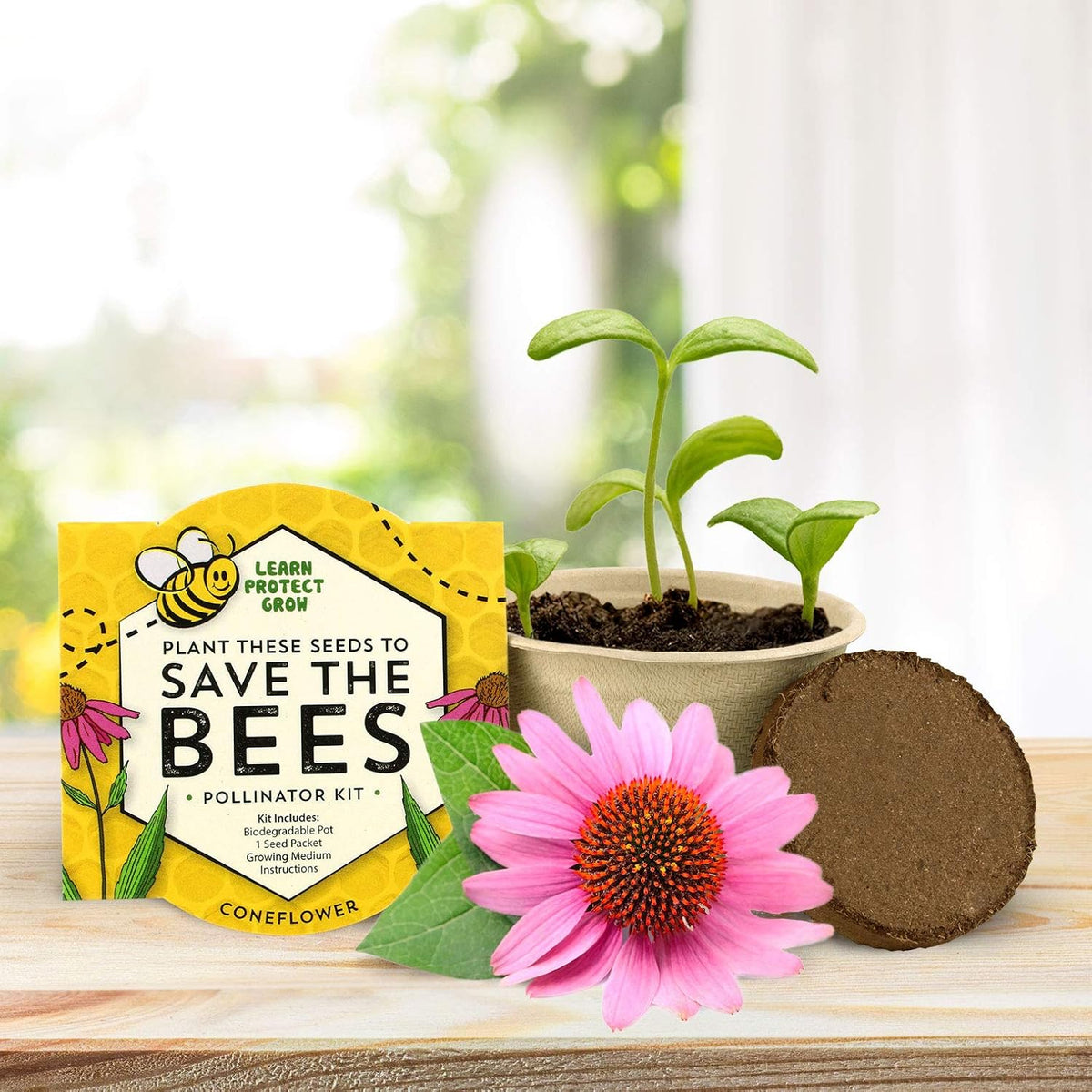 Buzzy Seeds Save The Bees Biodegradable Grow Kit | Herb, Plant, Flower Starter Kit for Kids & Adults | Assorted Wildflowers 12-Pack | Guaranteed to Grow | Best Indoor Grow Your Own Plant
