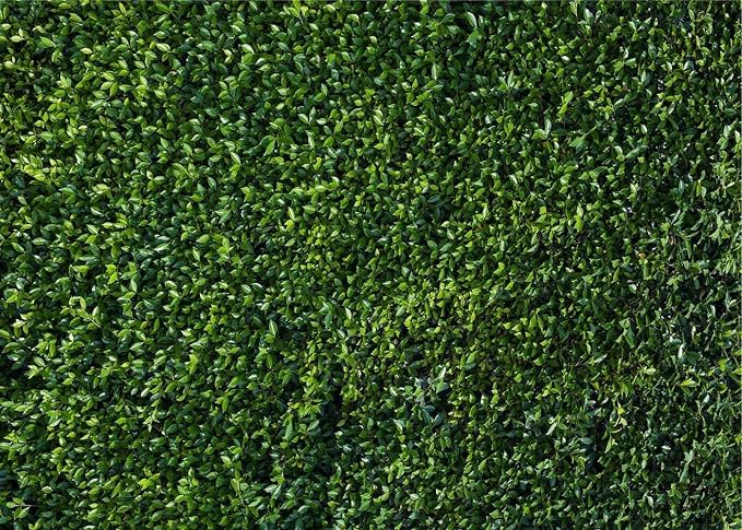 Nature Spring Green Leaves Theme Photo Background Wedding Birthday Party - Image 7