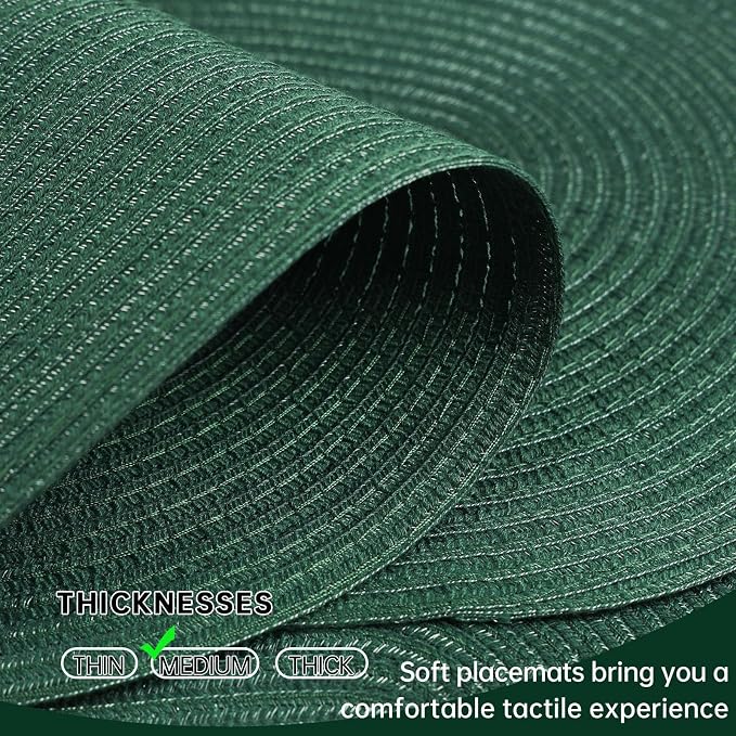 Placemats Set of 8, Woven Oval Braided Dining Table Mats | 12 x 17.5 Inch Size - Image 3